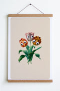 Affiche "Googly Tulips"